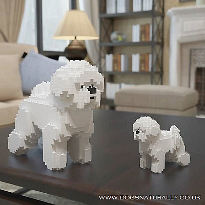 Bichon Jekca Available in 2 Sizes
